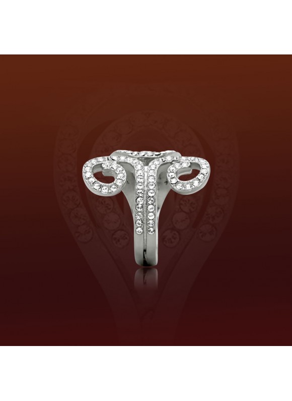 生生不息｜純鋼戒指